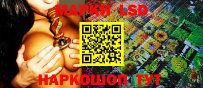 гидропоника Дубна