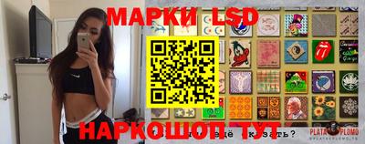 гидропоника Дубна