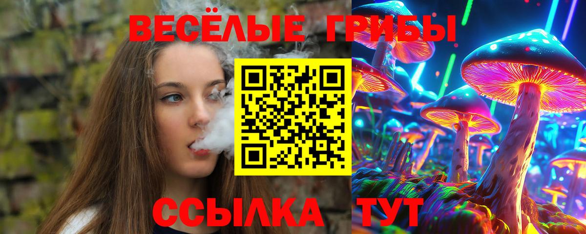 Елабуга  купить наркотик  Вход с VPN  Галлюциногенные грибы мицелий 